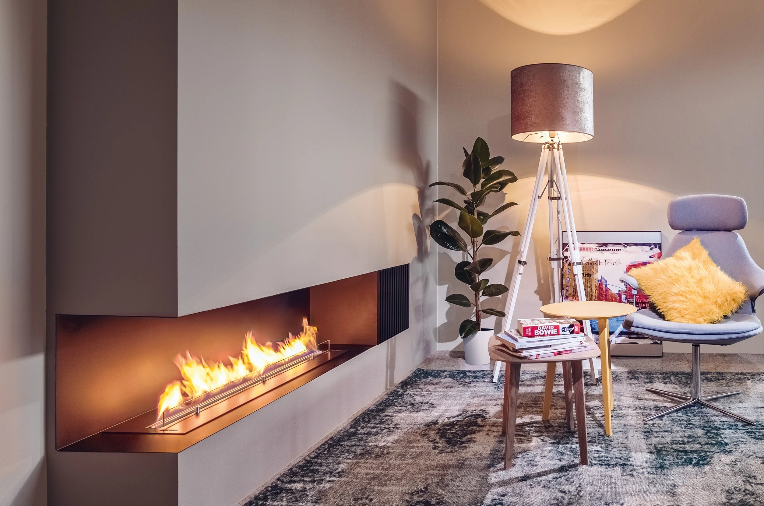 bioethanol fireplace