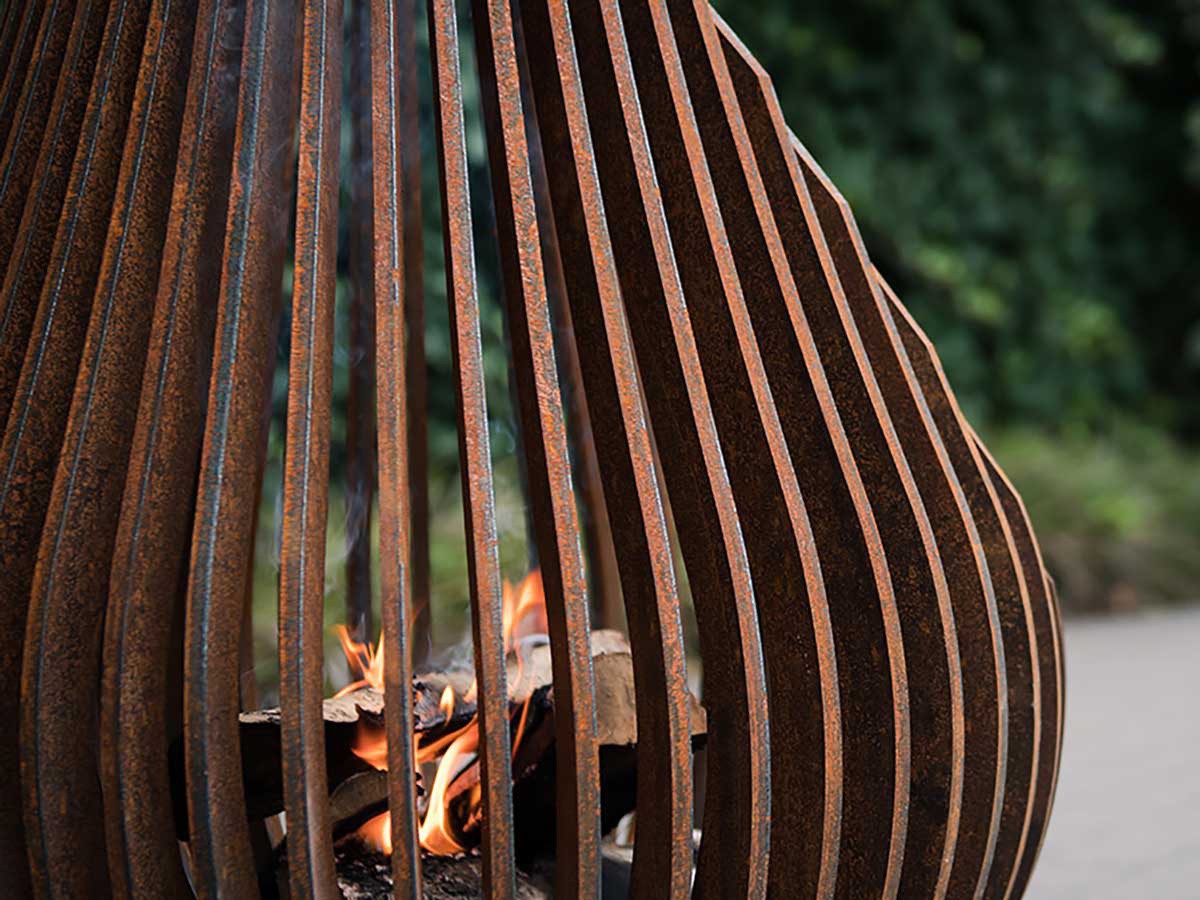 Glowbus dewdrop closeup