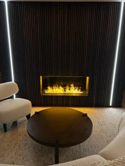 Foco Myst Two 1200 | Fireplace Insert with Dimplex Cassette Foco Myst Two 1200 Optimyst