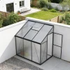 Black aluminium greenhouse with clear polycarbonate panels and single hinged door