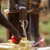 Compenseer CO2-uitstoot met South Pole