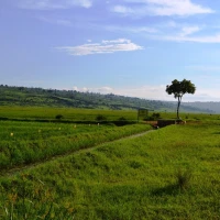 Compenseer CO2-uitstoot met South Pole