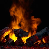 Inbouwmodule Cassette 500 waterdamphaard met sierhout om in te bouwen