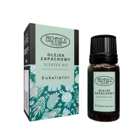 Geur voor biohaarden &ndash; Eucalyptus 10 ml