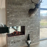 Faber e-Matrix Mood 800-500 RD Waterdamp haard