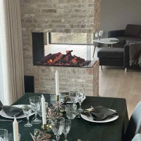 Faber e-Matrix Mood 800-500 RD Waterdamp haard