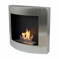 Elegante biohaard in roestvrij staal. Brandtijd 2,5 uur. Maat: 60 x 55 x 17 cm.