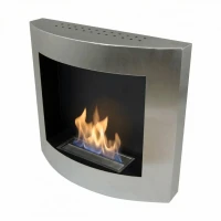 Elegante biohaard in roestvrij staal. Brandtijd 2,5 uur. Maat: 60 x 55 x 17 cm.