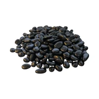 5 kg Zwarte Decoratieve Stenen voor Bio-ethanol Haarden