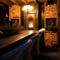 Superior haardbrander voor bio-ethanol (2,5 liter). Perfect voor een doe-het-zelf biohaard.