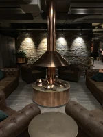 Deluxe haardbrander voor bio-ethanol (2 liter). Perfect voor een doe-het-zelf biohaard. Geproduceerd in roestvrij staal. 