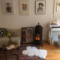 Carl Westbo Elektrisch