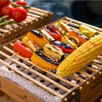 CasusGrill Milieuvriendelijke wegwerpgrill van bamboe en karton