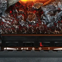 Waterdamphaard  van Dimplex met afstandsbediening