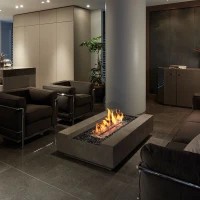 EcoSmart Cosmo 50 bio-ethanol vuurtafel