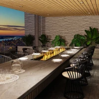 EcoSmart Linear 130 biohaard inbouwkit