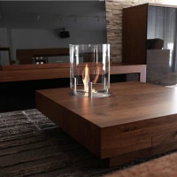 EcoSmart Fire ronde AB3 bio-ethanol brander van 304 roestvrij staal