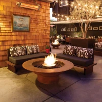 EcoSmart Fire ronde AB8 bio-ethanol brander van 304 roestvrij staal