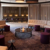 EcoSmart Fire ronde AB8 bio-ethanol brander van 304 roestvrij staal