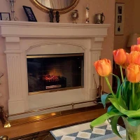 Elektrisch inzetstuk voor open haard