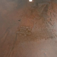 Hein & Haugaard UFO-60 plafond hangende biohaard Oxid