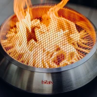 H&ouml;fats MOON 45 roestvrijstalen vonkenvanger veiligheidsdeksel
