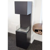 Vrijstaande biohaard aan drie zijden geopend waardoor vlammen beter zichtbaar zijn.