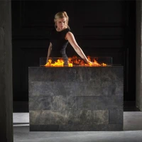 Moderne Incanto 2500 waterdamp inzet met 5x2 liter waterreservoir