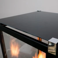 Glas voor de Muztag Malaga terrasverwarmer