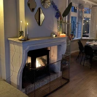 ScandiFlames Nashville - Vrijstaande bio-ethanol open haard in houtkachel ontwerp met zwarte afwerking