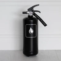 Nordic Flame Zwart Brandblusser Classic 2 kg