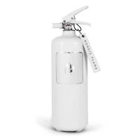Nordic Flame Witte Brandblusser Classic 2 kg
