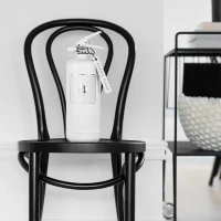 Nordic Flame Witte Brandblusser Classic 2 kg