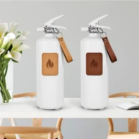 Witte brandblusser 2 kg - Licht leder