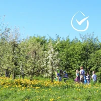Plant een boom met Growing Trees Network