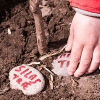 Plant een boom met Growing Trees Network