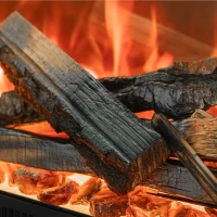 Astro 850 Planika elektrische haard