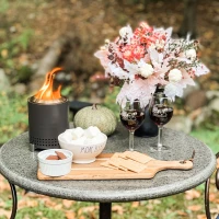 Solo Stove Mesa Ash Vuurkorf voor op tafel