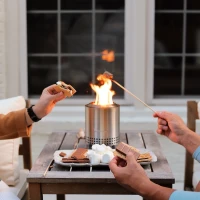 Solo Stove Mesa Tafelvuurkorf - Roestvrij staal