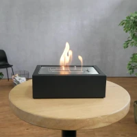 Inbouw ethanol hout haard