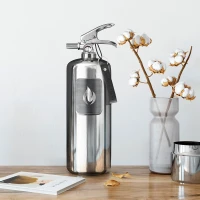 Nordic Flame brandblusser 2 kg - Gepolijst staal