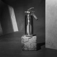 Nordic Flame brandblusser 2 kg - Gepolijst staal