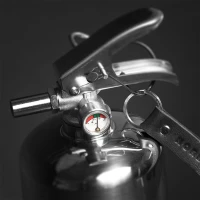 Nordic Flame brandblusser 2 kg - Gepolijst staal