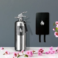 Nordic Flame brandblusser 2 kg - Gepolijst staal