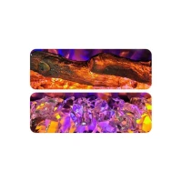 Aflamo Superb 60 Elektrische Haard