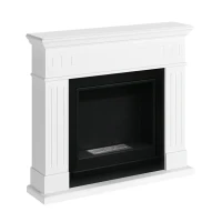 Larsen Witte Bio-ethanolhaard in minimalistisch design voor moderne woningen