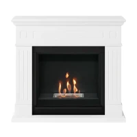 Larsen Witte Bio-ethanolhaard in minimalistisch design voor moderne woningen