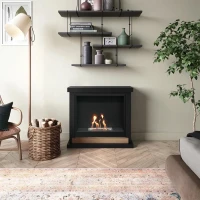 Hagen Zwarte Bio-ethanolhaard in een elegant zwart design voor moderne interieurs