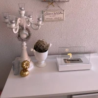 Kleine tafel biohaard die zowel binnen als buiten kan worden gebruikt, en eenvoudig te verplaatsen is. Brandtijd 1-2 uur.